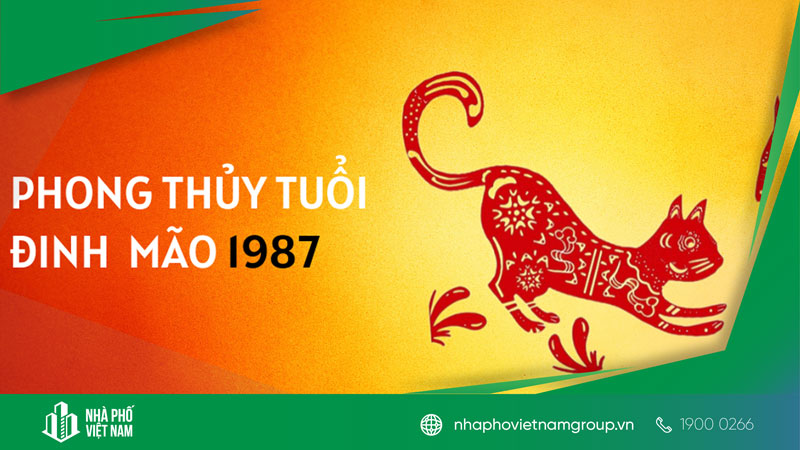 Tuổi Đinh Mão 1987 Hợp Hướng Nào? Bí Quyết Chọn Hướng Nhà, Bàn Làm Việc Rước Tài Lộc 2025